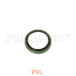 Сальник шкворня Heli CPCD10-15 (25x32x6) (24234-32231) Сальник шкворня Heli CPCD10-15 (25x32x6) (24234-32231)