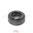 Подшипник шарнирный CPCD20-50 20*35*12/16 (GE20ES-2RS) Подшипник шарнирный CPCD20-50 20*35*12/16 (GE20ES-2RS)